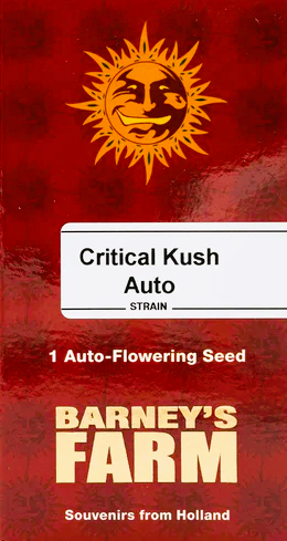 Barney's Farm -Critical Kush-