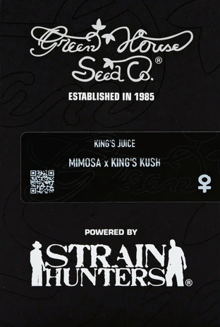 Green House Seed -King's Juice- *Mimosa x King's Kush