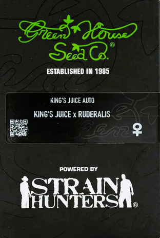 Green House Seed -King's Juice- *Ruderalis