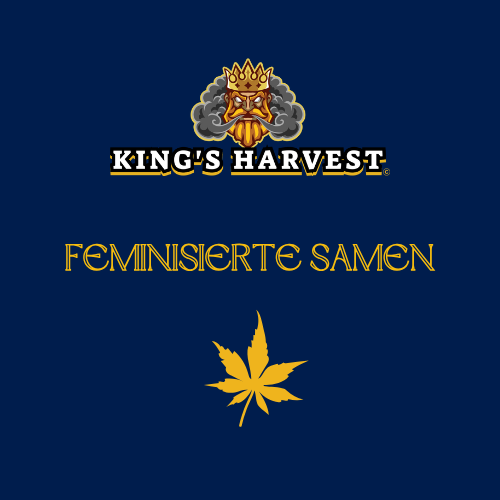 Feminisiert