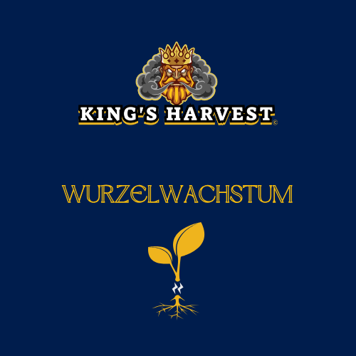 Wurzelwachstum
