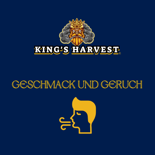 Geschmack und Geruch
