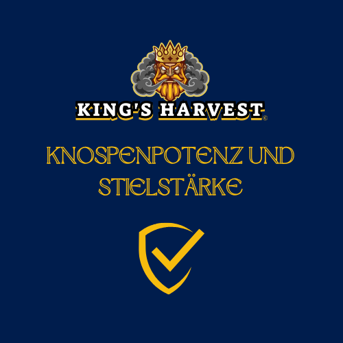 Knospenpotenz & Stielstärke