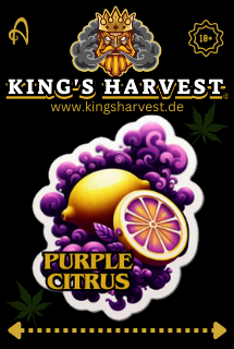 King's Harvest -Purple Citrus-