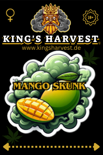 King's Harvest -Mango Skunk-