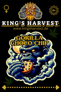 King's Harvest -Gorilla Choco Chip-