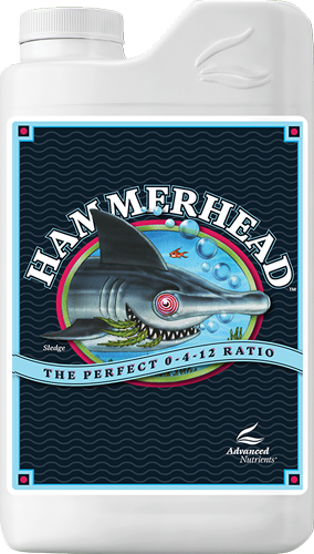 Hammerhead®