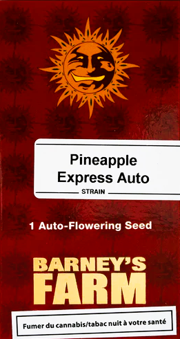 Barney's Farm -Pineapple Express-