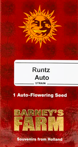Barney's Farm -Runtz-