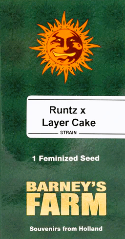 Barney's Farm -Runtz x Layer Cake-