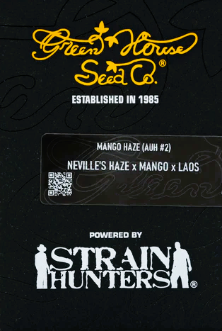 Green House Seed -Mango Haze aka Arjan's Ultra Haze 2-