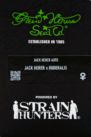 Green House Seed -Jack Herer-