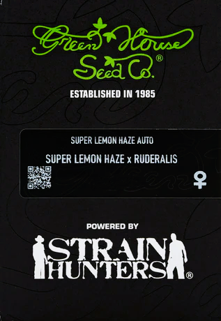 Green House Seed -Super Lemon Haze-